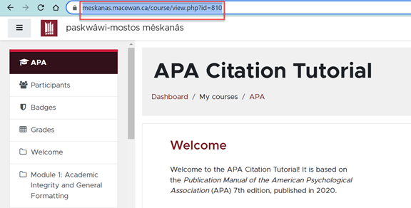 APA Citation Tutorial Image